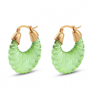 Musthave resin oorbellen oval Gold-transparent green
