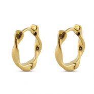 Oorbellen van Stainless steel Roestvrij staal (RVS) Gold