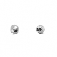 Kralen van Stainless steel Roestvrij staal (RVS) Silver