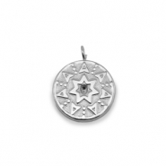 Bedels van Stainless steel Roestvrijstaal (RVS) round Silver