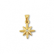 Hangers van Stainless steel Roestvrij staal (RVS) star Gold