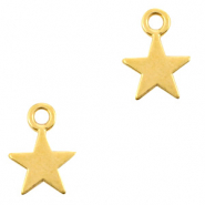 Metaal bedels DQ star Goud (nikkelvrij)