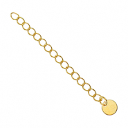 Metaal onderdelen DQ verlengketting coin 6mm Goud (nikkelvrij)