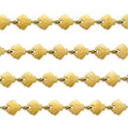 Benodigdheden van Stainless steel Roestvrij staal (RVS) jasseron shell Gold