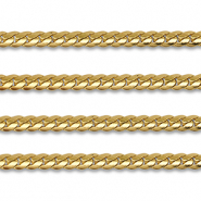 Benodigdheden van Stainless steel Roestvrij staal (RVS) jasseron flat gourmet Gold