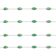 Benodigdheden van Stainless steel Roestvrij staal (RVS) jasseron oval Silver-green