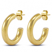 Oorbellen van Stainless steel Roestvrij staal (RVS) oorstekers Gold