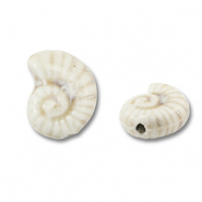 Keramiek kraal shell Off white