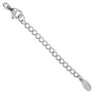 Benodigdheden van Stainless steel Roestvrij staal (RVS) verlengketting set oval met karabijnslot Silver