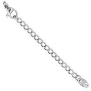 Benodigdheden van Stainless steel Roestvrij staal (RVS) verlengketting set oval met karabijnslot Silver
