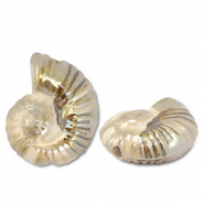 Grieks keramiek DQ shell Beige-brown