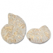 Grieks keramiek DQ shell White-light brown-gold