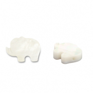 Schelp kralen elephant White (natuurlijke kleur schelp)