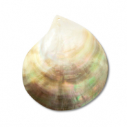 Schelp hanger pearl oyster shell White (natuurlijke kleur schelp)-light brown-dark brown