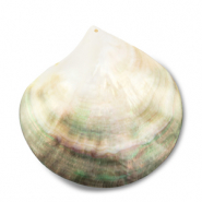 Schelp hanger pearl oyster shell White (natuurlijke kleur schelp)-light brown-dark brown