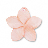 Schelp hanger flower Peach pink