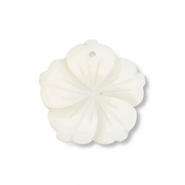Schelp hanger flower White