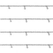 Benodigdheden van Stainless steel Roestvrij staal (RVS) jasseron with ball Silver