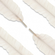 Musthave veters organza Beige