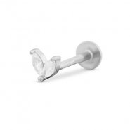Oorpiercing van Stainless steel Roestvrij staal (RVS) leaf Silver