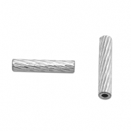 Kralen van Stainless steel Roestvrij staal (RVS) tube 10mm Silver