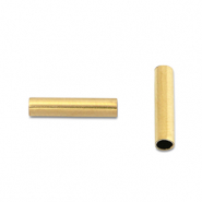 Kralen van Stainless steel Roestvrij staal (RVS) tube 8mm Gold