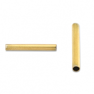 Kralen van Stainless steel Roestvrij staal (RVS) tube 12mm Gold