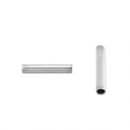 Kralen van Stainless steel Roestvrij staal (RVS) tube 5mm Silver