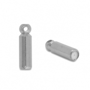 Benodigdheden van Stainless steel Roestvrij staal (RVS) eindkap voor broches /pins Silver
