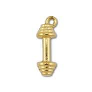 Bedels van Stainless steel Roestvrij staal (RVS) dumbell Gold
