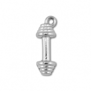 Bedels van Stainless steel Roestvrij staal (RVS) dumbell Silver