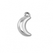 Bedels van Stainless steel Roestvrij staal (RVS) moon Silver