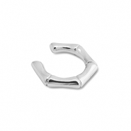 Oorbellen van Stainless steel Roestvrij staal (RVS) ear cuff Silver