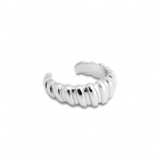 Oorbellen van Stainless steel Roestvrij staal (RVS) ear cuff Silver