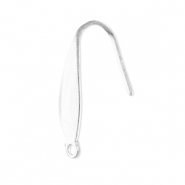 Benodigdheden van Stainless steel Roestvrij staal (RVS) oorbellen / oorhanger with loop Silver