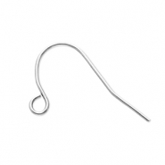 Benodigdheden van Stainless steel Roestvrij staal (RVS) oorbellen / oorhanger with loop Silver