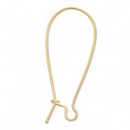 Benodigdheden van Stainless steel Roestvrij staal (RVS) sluitbare oorhanger Gold