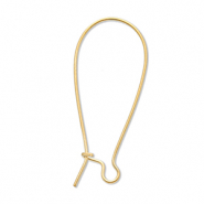 Benodigdheden van Stainless steel Roestvrij staal (RVS) sluitbare oorhanger Gold