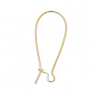 Benodigdheden van Stainless steel Roestvrij staal (RVS) sluitbare oorhanger Gold