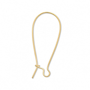 Benodigdheden van Stainless steel Roestvrij staal (RVS) sluitbare oorhanger Gold