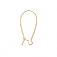 Benodigdheden van Stainless steel Roestvrij staal (RVS) sluitbare oorhanger Gold