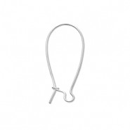 Benodigdheden van Stainless steel Roestvrij staal (RVS) sluitbare oorhanger Silver