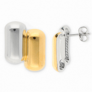 Oorbellen van Stainless steel Roestvrij staal (RVS) oorstekers Gold-silver