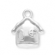 Bedels van Stainless steel Roestvrij staal (RVS) house Silver