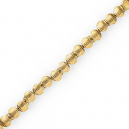 Kralen van hematite shell Gold