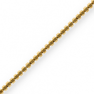 Kralen van hematite hexagon Gold