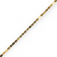 Kralen van hematite Gold