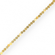 Kralen van hematite hexagon Gold