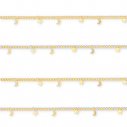 Benodigdheden van Stainless steel Roestvrij staal (RVS) jasseron with moon and star Gold