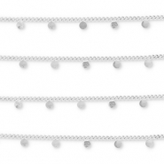Benodigdheden van Stainless steel Roestvrij staal (RVS) jasseron with coins Silver
